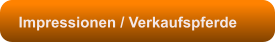 Impressionen / Verkaufspferde